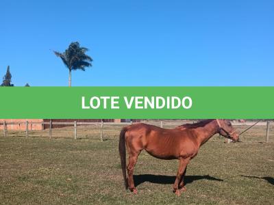 LOTE 012 - HEZA TO KEYS MPQ
