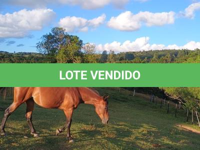 LOTE 023 - DAKOTA