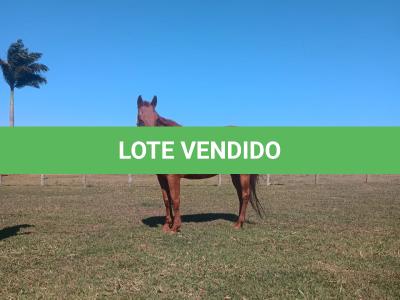 LOTE 012 - HEZA TO KEYS MPQ