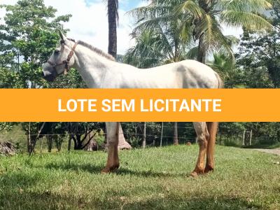 LOTE 016 - PEPITA TROUBLE JAY