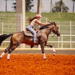 LOTE 012 - BUCK BOON DUN IT