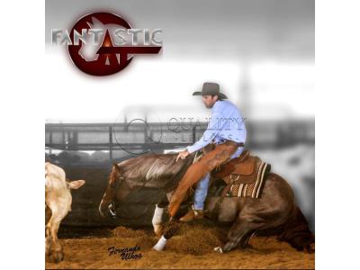 LOTE 013 A - FANTASTIC CAT (Coberturas)