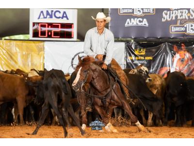 LOTE 044 - WOOD SMART REY (Coberturas)