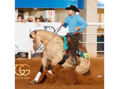 LOTE 041 - TOP GOTTA GUN (Coberturas)