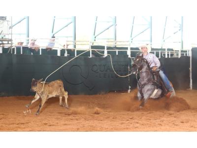 LOTE 024 - METALLIC REY STAR 4M (Coberturas)
