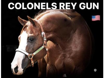LOTE 012 - COLONELS REY GUN (Coberturas)