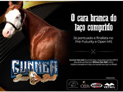LOTE 045 - GUNNER SAN BELL (Coberturas)