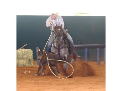 LOTE 024 - METALLIC REY STAR 4M (Coberturas)