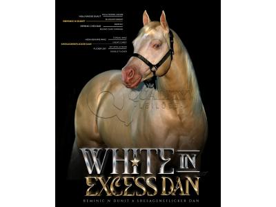 LOTE 007 - WHITE IN EXCESS DAN