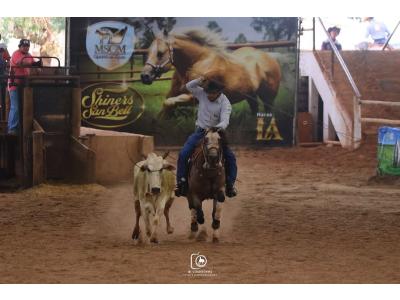 LOTE 013 - SHINING SPARK BELL
