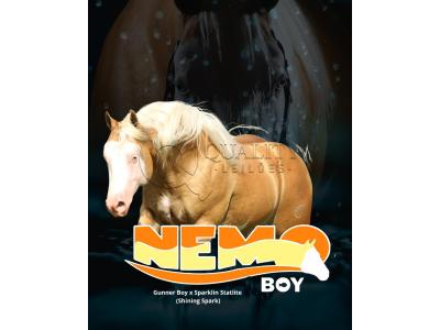 LOTE 005 - NEMO BOY