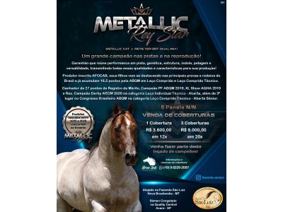 LOTE 011 - METALLIC REY STAR 4M