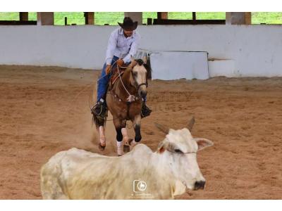 LOTE 013 - SHINING SPARK BELL