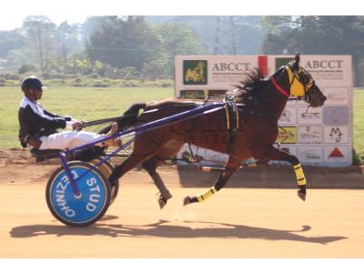 LOTE 003 - RB P MONICK  (Ventre com Cobertura Exclusiva)