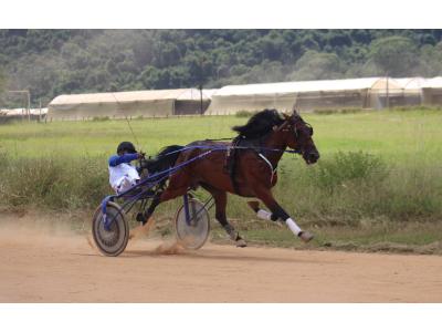 LOTE 004 - A.A SERPENT MALIBU (Ventre com Cobertura Exclusiva)