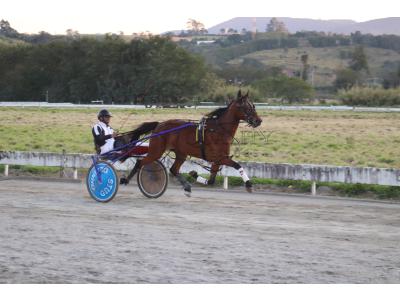 LOTE 003 - RB P MONICK  (Ventre com Cobertura Exclusiva)