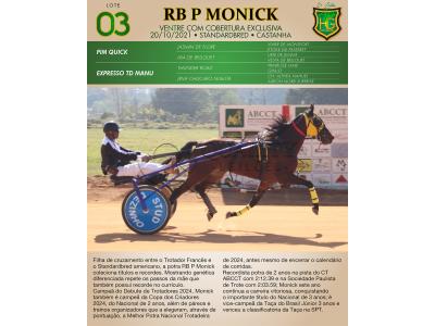 LOTE 003 - RB P MONICK  (Ventre com Cobertura Exclusiva)