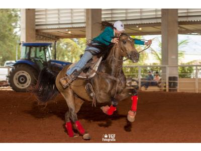 LOTE 012 - BUCK BOON DUN IT