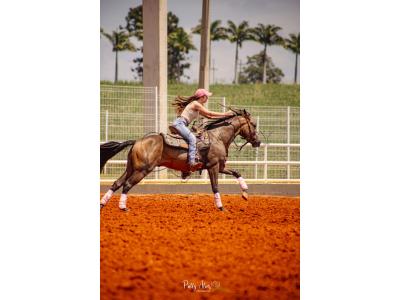 LOTE 012 - BUCK BOON DUN IT