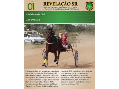 LOTE 001 - REVELAÇÃO SR (Ventre com Cobertura Exclusiva)