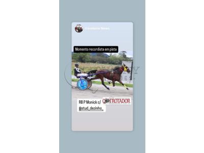 LOTE 003 - RB P MONICK  (Ventre com Cobertura Exclusiva)