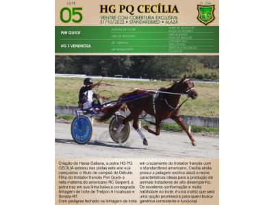 LOTE 005 - HG PQ CECÍLIA (Ventre com Cobertura Exclusiva)