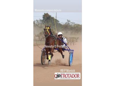 LOTE 003 - RB P MONICK  (Ventre com Cobertura Exclusiva)