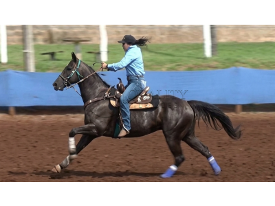 LOTE 004 - OKLAHOMA MOON HJS