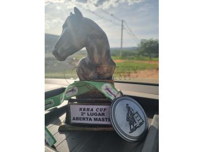 LOTE 012 - BUCK BOON DUN IT