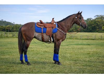 LOTE 011 - GO FAST RED PY’S