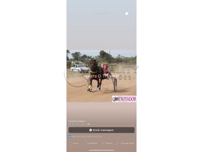 LOTE 002 - CANTIGA SR  (Ventre com Cobertura Exclusiva)