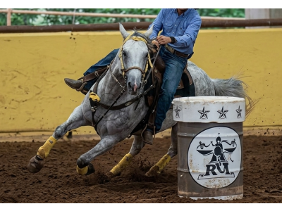 LOTE 005 - CHAMEGO BEE BEE OFV