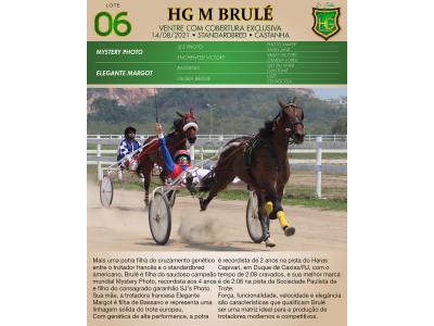 LOTE 006 - HG M BRULÉ (Ventre com Cobertura Exclusiva)