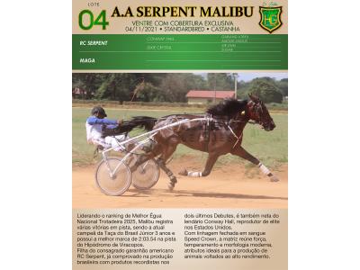 LOTE 004 - A.A SERPENT MALIBU (Ventre com Cobertura Exclusiva)