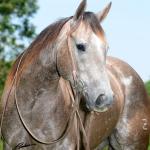 LOTE 003 - ROSIES JAY Z