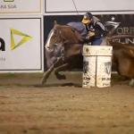 LOTE 001 - SHADY WARS HAP