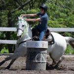 LOTE 011 - EMBRIÃO A EFETIVAR (CASTANHO RED x DAKAR TA FAME)