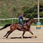 LOTE 005 - JACK FAME M FISHERS