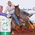 LOTE 011 - EMBRIÃO EFETIVADO - BLACKSMITH FAME BG x BUENA DIAMOND JPJ