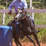 LOTE 006 - MY ZORRERO BOY