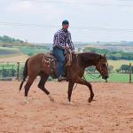 LOTE 018 - PEPTO SILVER