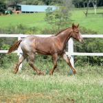 LOTE 006 - LOOK ME TWICE VRA