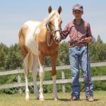 LOTE 008 - PENELOPY TOP TOO YBJ