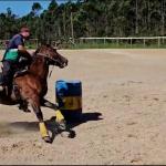 LOTE 005 - JACK FAME M FISHERS