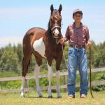 LOTE 005 - NAOMY TOP TOO CODY YBJ