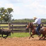 LOTE 014 - SORVETE