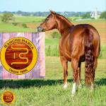 LOTE 013 - SOLTERA REY PEP B (2x1)