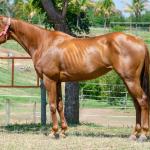 LOTE 011 - MY FIRST FLY