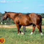 LOTE 013 - SOLTERA REY PEP B (2x1)