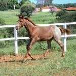 LOTE 006 - LOOK ME TWICE VRA